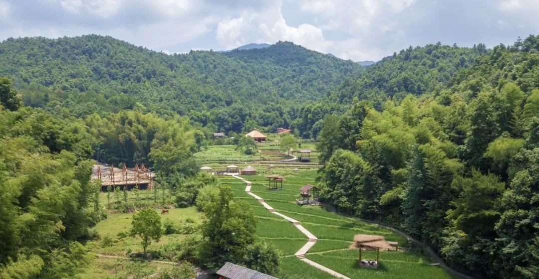 毕树真最新持股，自然美景的心灵之旅揭秘