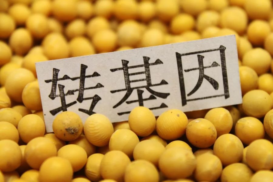 工程鉴定 第278页
