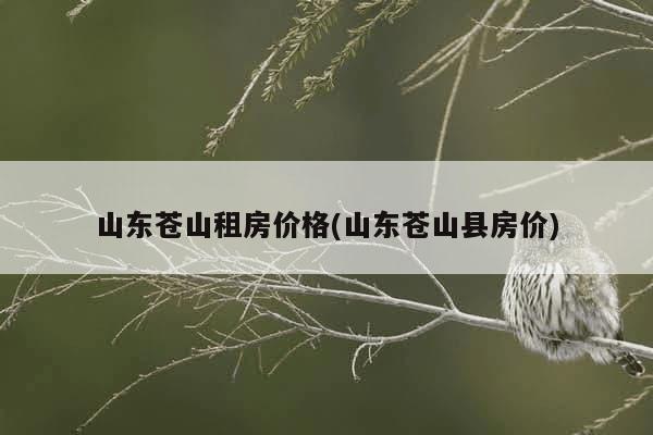山东苍山最新房价指南，获取与理解房价信息的详细步骤及最新房价揭晓