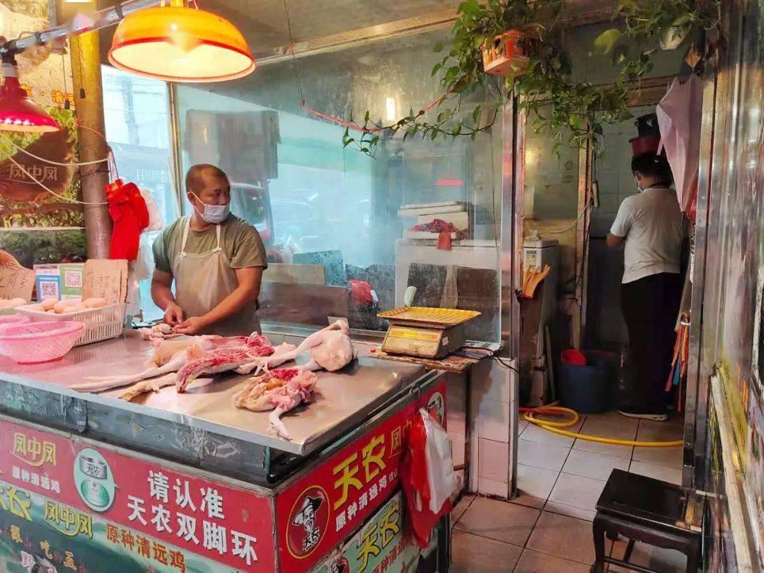 活禽市场最新动态概览