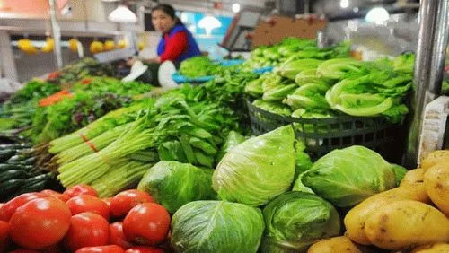 拉萨蔬菜价格行情概览与分析