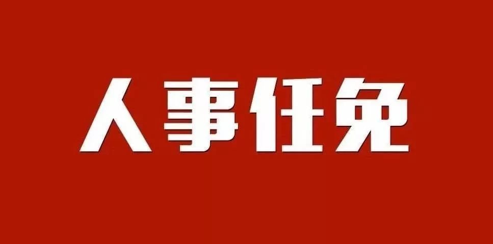 眉山市最新人事任免揭秘，职务调整与人才流动动态✨