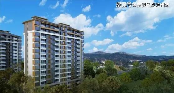 汾湖芦墟最新优质房源出租，理想居住首选