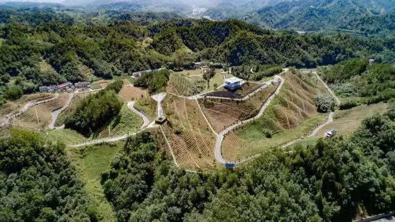 南县铁路规划更新，与自然美景的浪漫之旅
