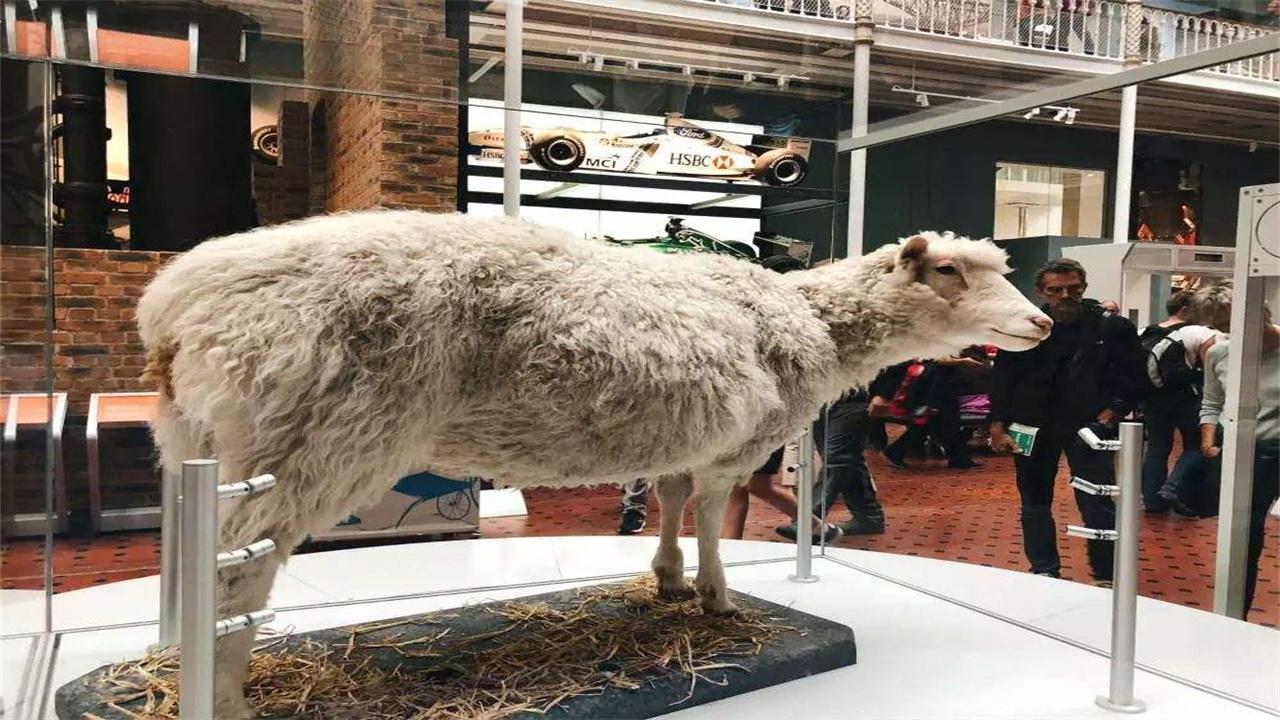 途游最新版，探索旅行新时代体验的独特魅力