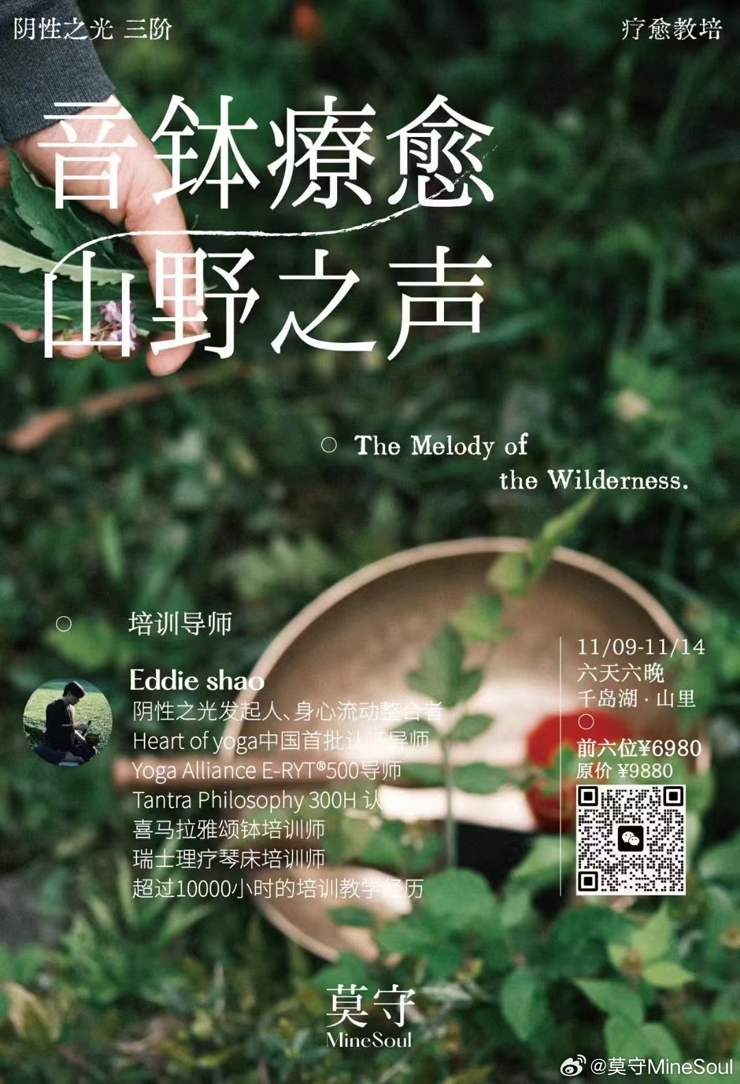 最新歌榜，自然之旅的心灵觉醒之旅