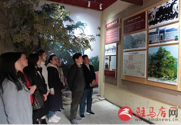 小S最新综艺节目，闪耀时代的娱乐新篇章