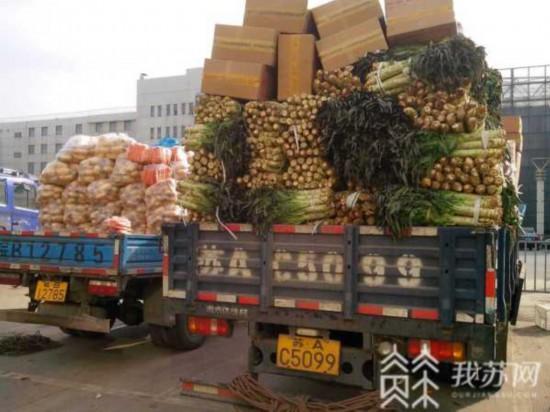 今日豆角价格行情解析，市场波动与多方观点探讨