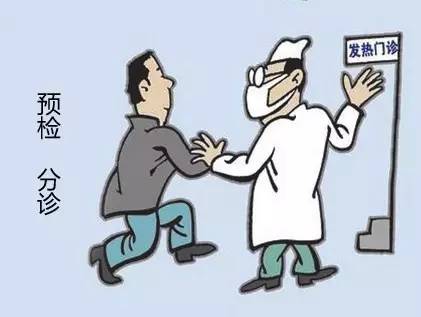 禽流感的最新动态，一场生活的温馨日常冒险