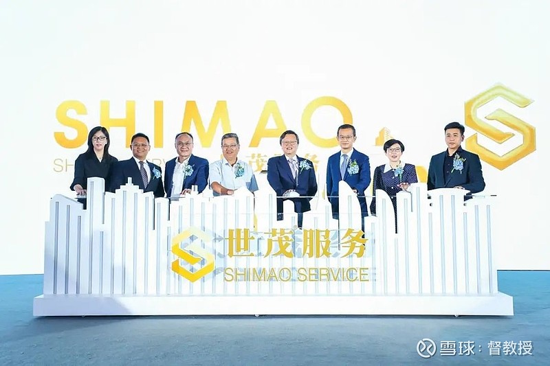 世茂股份科技前沿产品深度解析，最新消息汇总