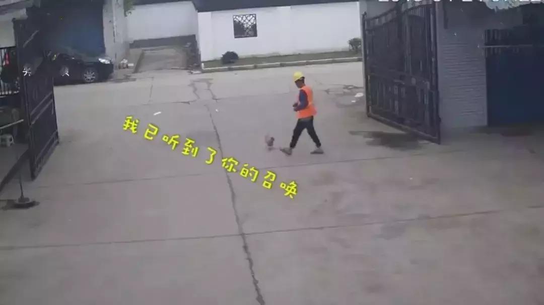 常熟电子警察最新动态，城市变化与自我成长勇气展现