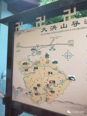 上海南大地区最新动态，自然之旅的心灵觉醒之旅