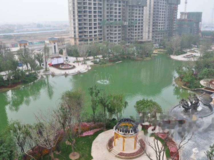 运城恒大绿洲最新动态，绿洲变迁与学习与成就自信之路