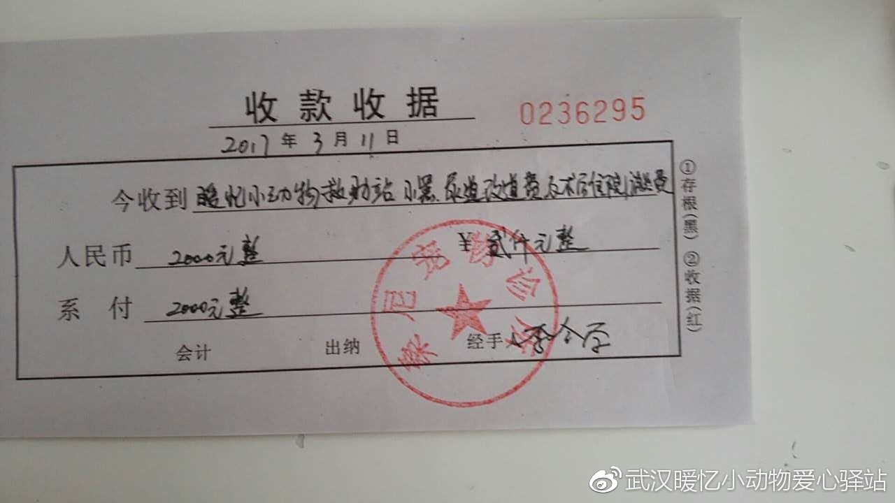 最新疫情收据背后的感人故事与希望之光