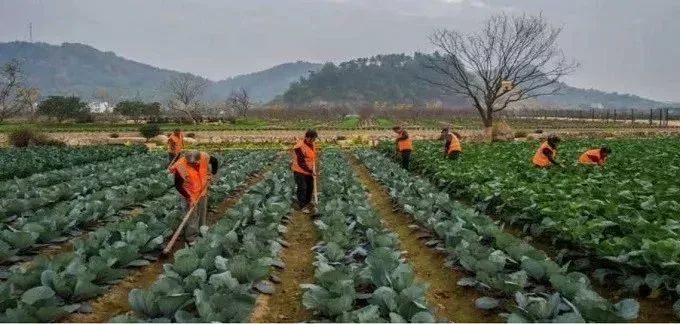最新农业大会，探寻自然美景之旅，内心平和宁静的寻觅