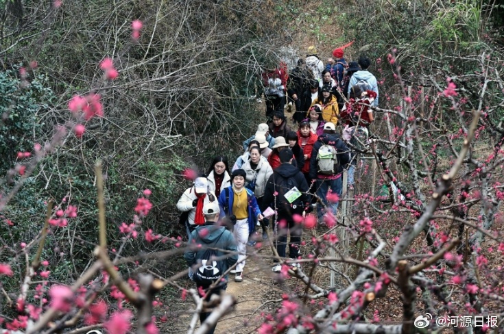 寒假最新放假通知，探索自然美景，寻找内心桃花源之旅