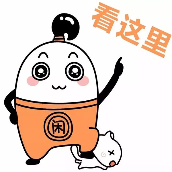 元宝最新动态，日常趣事与温馨之旅